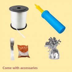 Birthday Balloon Decoration Set (include customised crystal balloon)